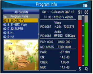 Satellite-meter-channel-info